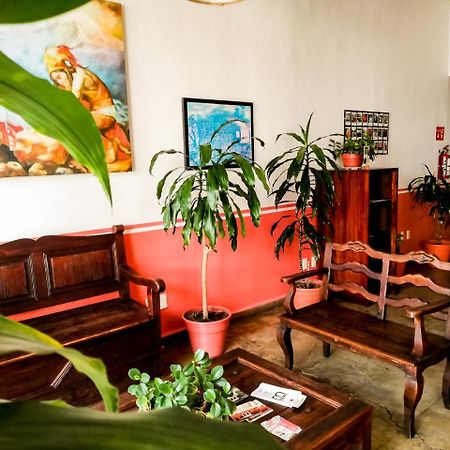 Hostal De La Niebla 贾拉普 外观 照片