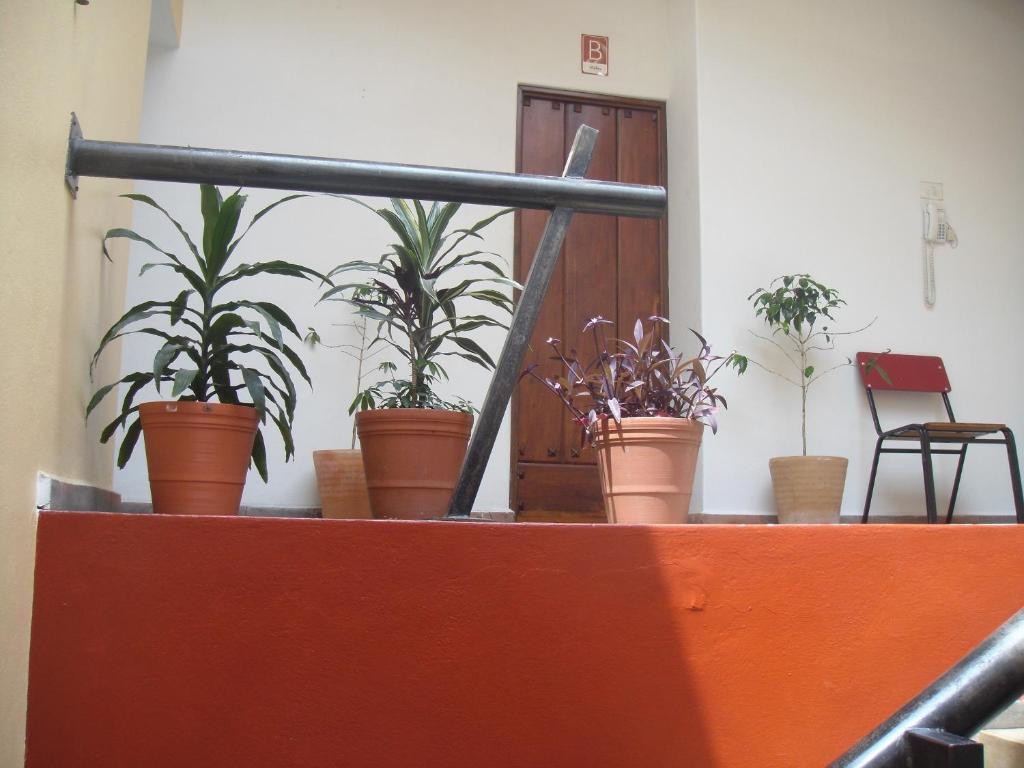 Hostal De La Niebla 贾拉普 外观 照片