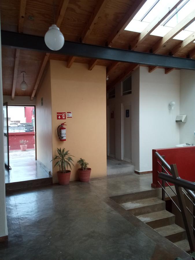 Hostal De La Niebla 贾拉普 外观 照片