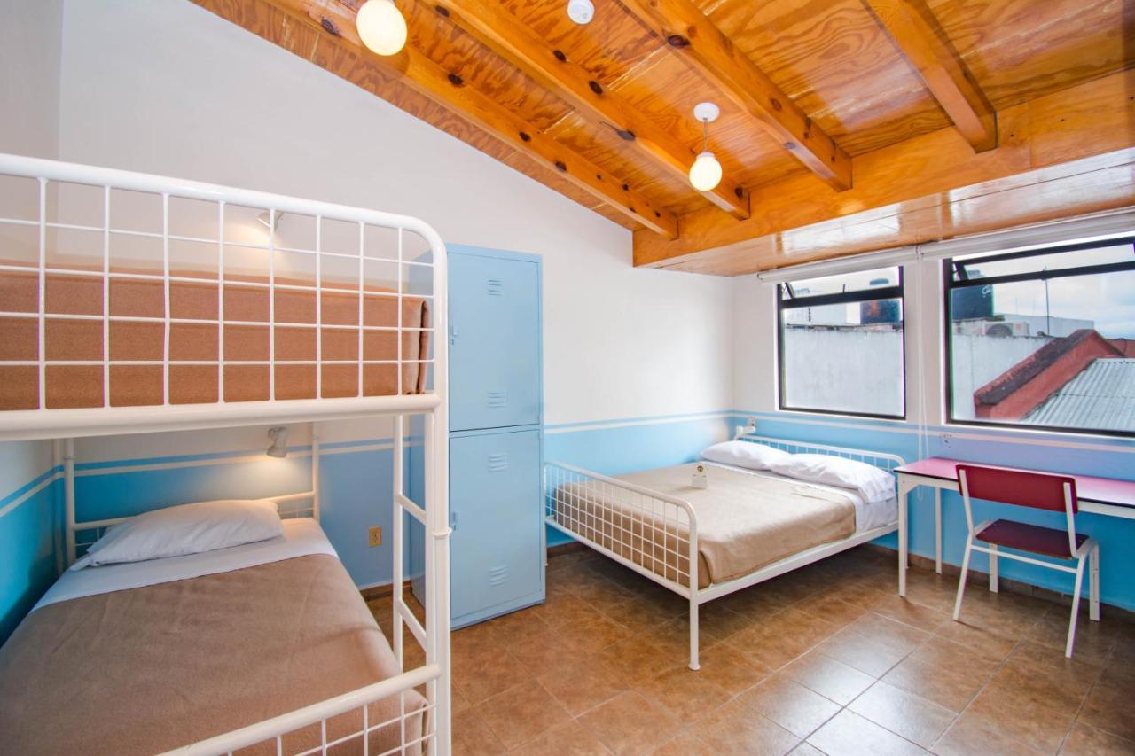 Hostal De La Niebla 贾拉普 外观 照片
