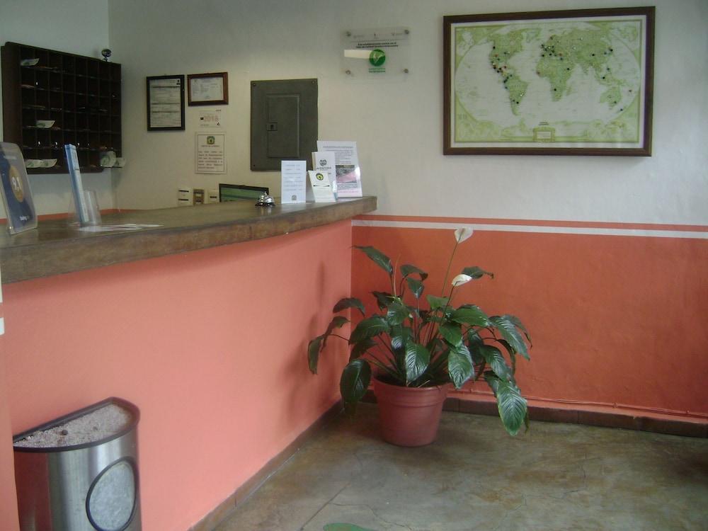 Hostal De La Niebla 贾拉普 外观 照片
